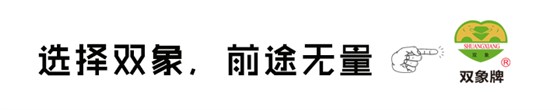 未标题-2