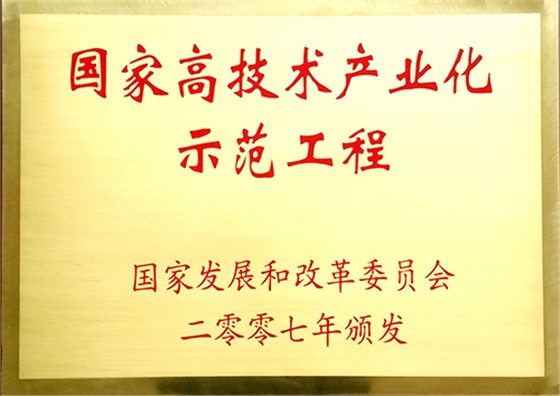 国家高科技产业化示范工程