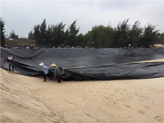 双象牌防渗土膜特点及性能介绍