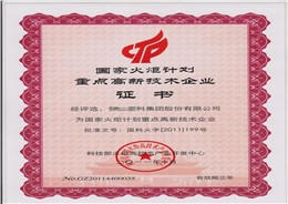 2011年国家火炬计划重点高新技术企业证书