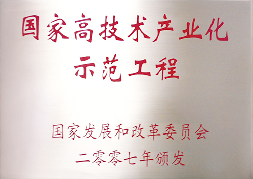 高技术产业化示范工程
