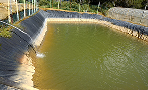 双象防渗布—种植养殖蓄水池理想选择
