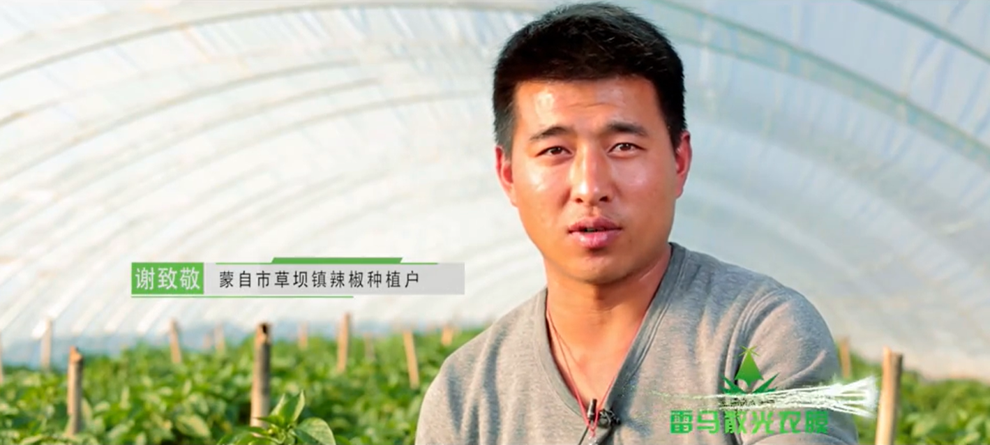 雷马散光，拥抱阳光