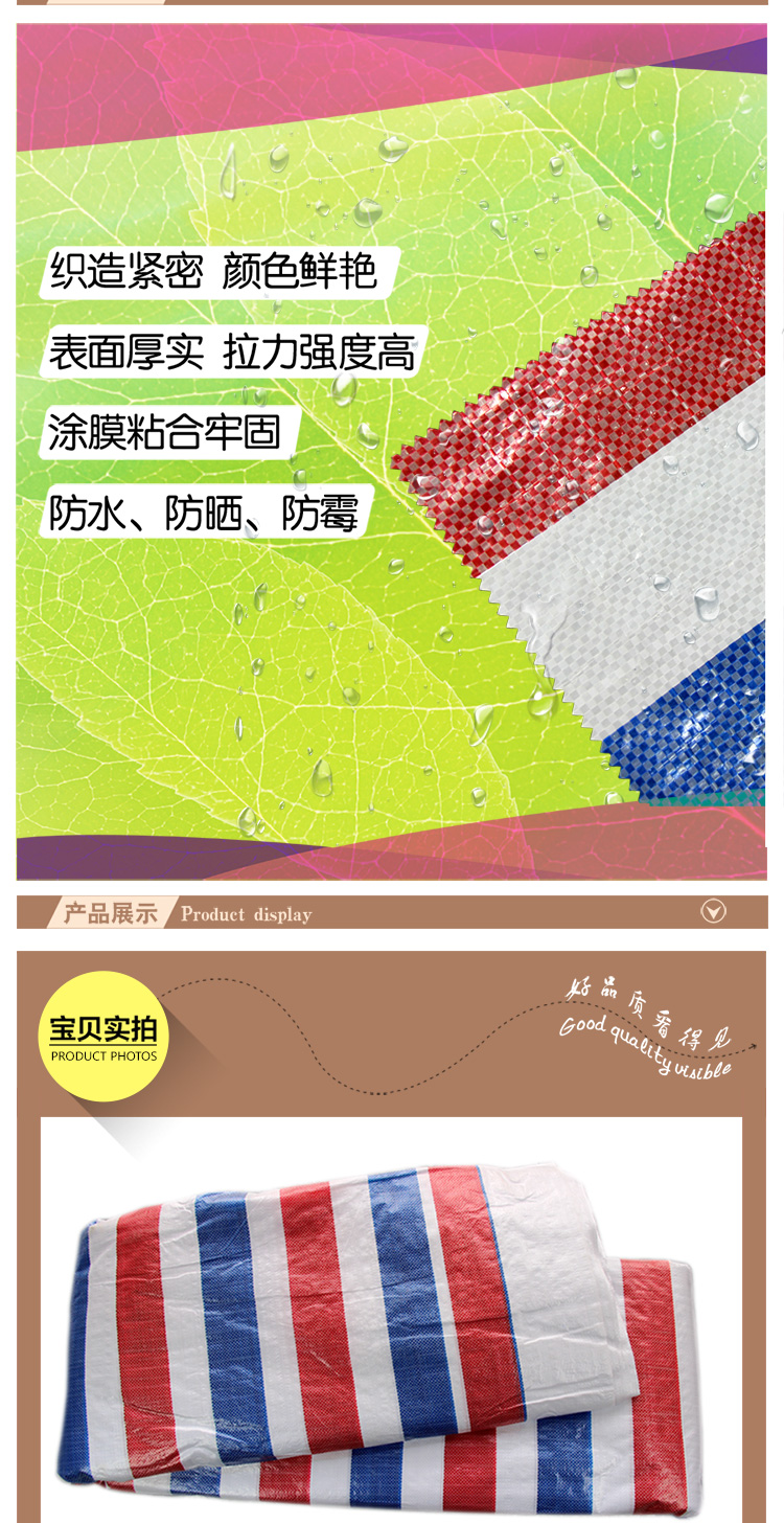 双象宽彩条--副本_03